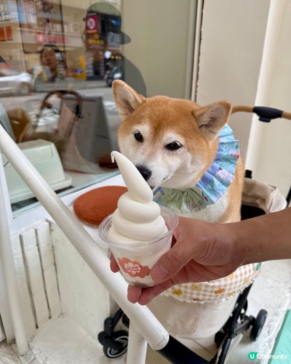 🍰元朗美食之旅🍦