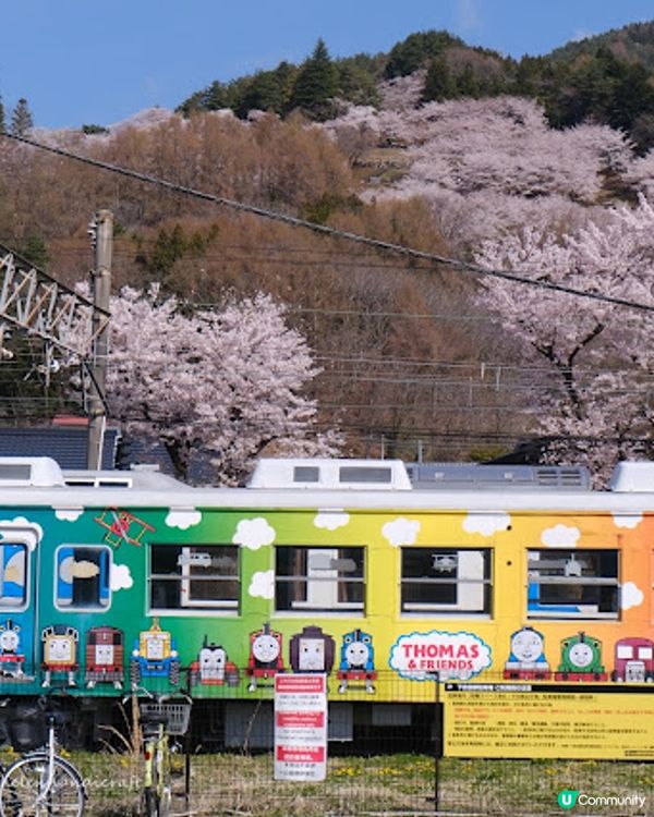 【旅遊日本】名信片級絕美粉櫻淺藍富士山 - 新倉富士淺間神社