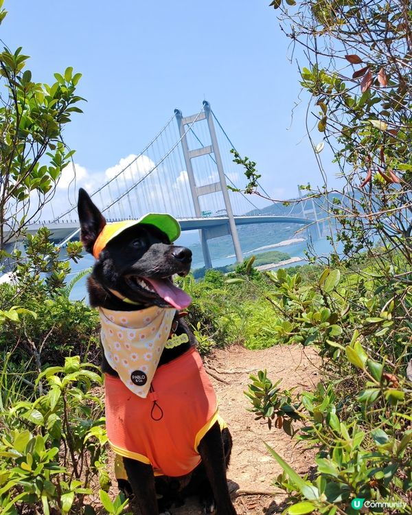 馬灣樂悠遊！🐶🌊🍜