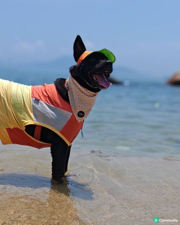 馬灣樂悠遊！🐶🌊🍜