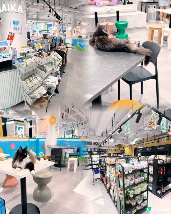 🇲🇴 萊卡星球（LAIKA LAND）🐶🐈全澳最大型寵物友善