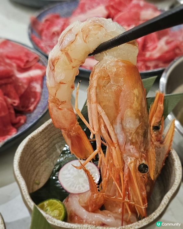 一人一鍋好滋味！性價比極高嘅高質感日式火鍋 🥩✨