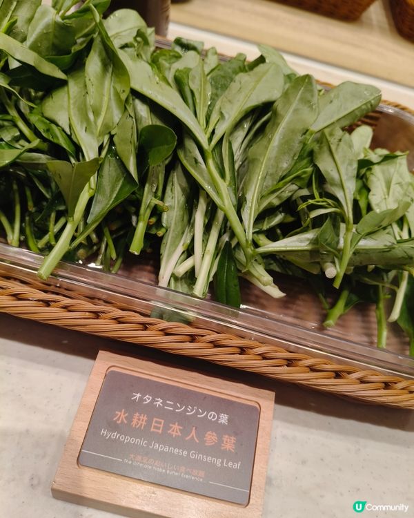 維尼 BB！ $牛気$放題 😋🐂
