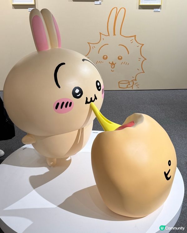 可愛兔兔