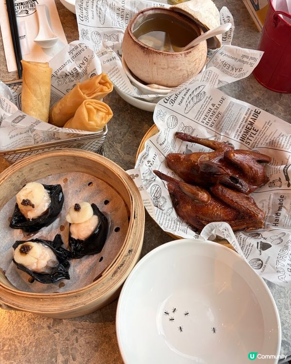 唐宮小聚 — 沙田一家人舒服食中菜的好地方