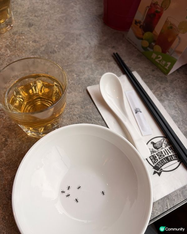 唐宮小聚 — 沙田一家人舒服食中菜的好地方