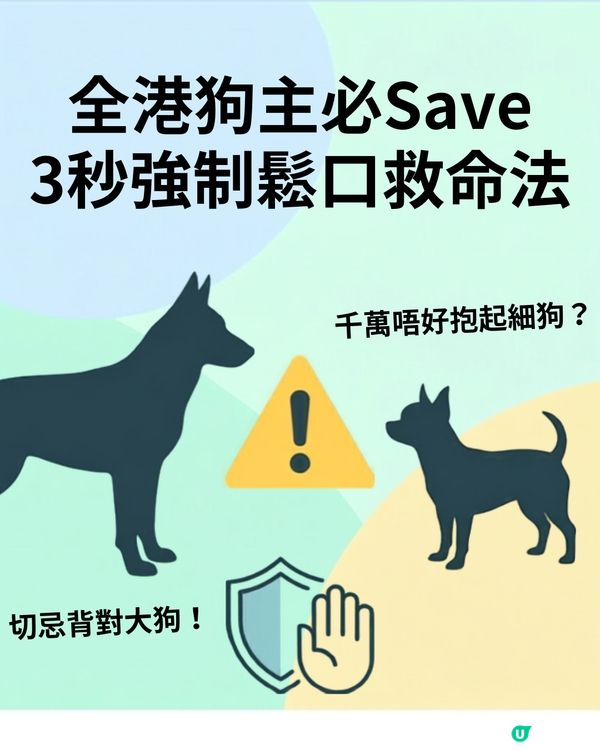 ⚠️全港狗主必Save！大狗咬住唔放點算？打頭、硬拉全錯！教你「3秒強制鬆口」救命法🚨