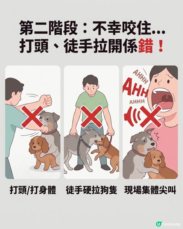 ⚠️全港狗主必Save！大狗咬住唔放點算？打頭、硬拉全錯！教你「3秒強制鬆口」救命法🚨