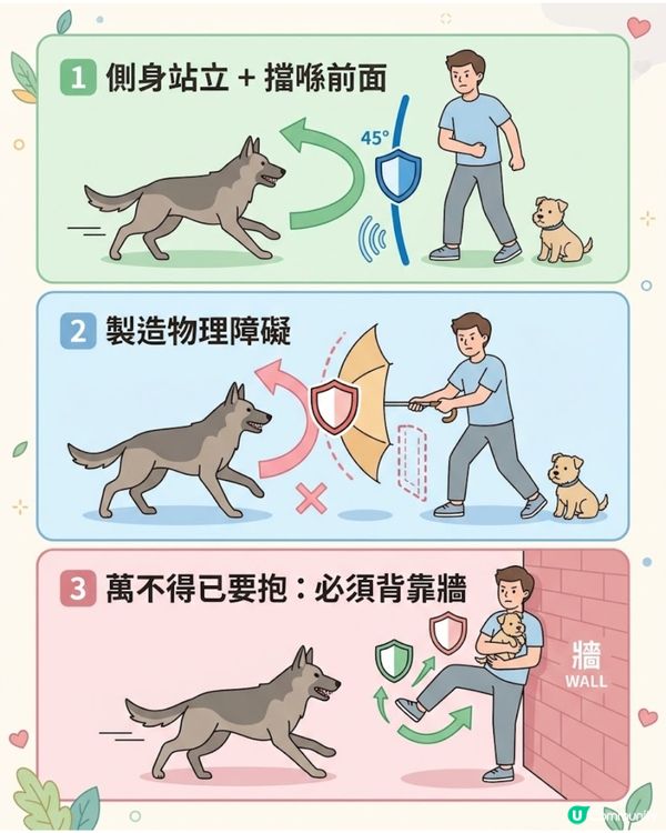 ⚠️全港狗主必Save！大狗咬住唔放點算？打頭、硬拉全錯！教你「3秒強制鬆口」救命法🚨