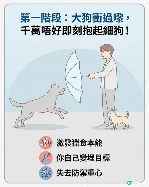 ⚠️全港狗主必Save！大狗咬住唔放點算？打頭、硬拉全錯！教你「3秒強制鬆口」救命法🚨
