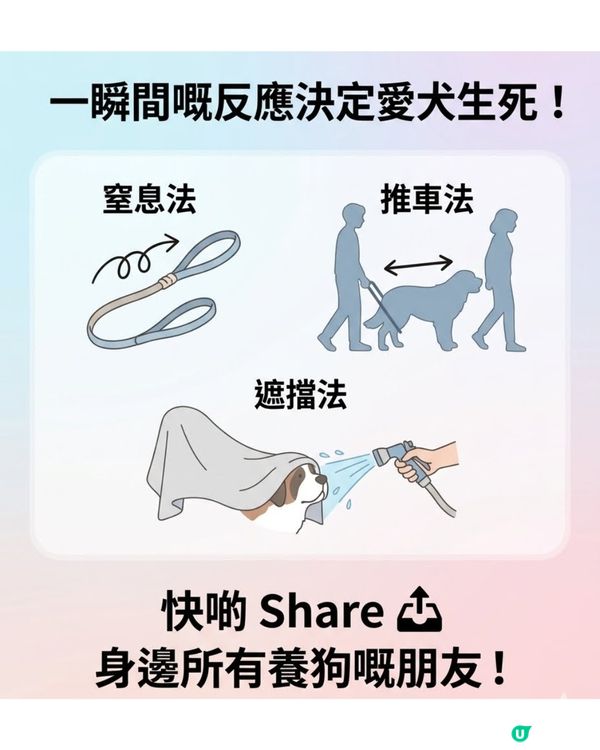 ⚠️全港狗主必Save！大狗咬住唔放點算？打頭、硬拉全錯！教你「3秒強制鬆口」救命法🚨