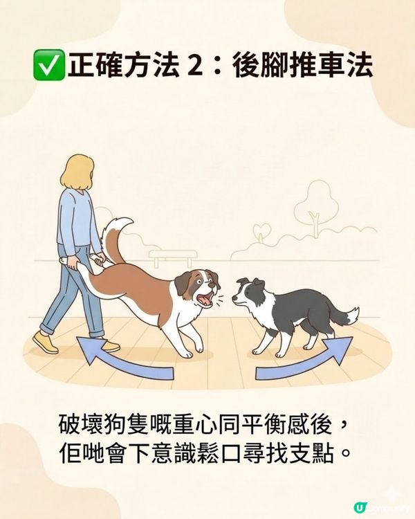 ⚠️全港狗主必Save！大狗咬住唔放點算？打頭、硬拉全錯！教你「3秒強制鬆口」救命法🚨