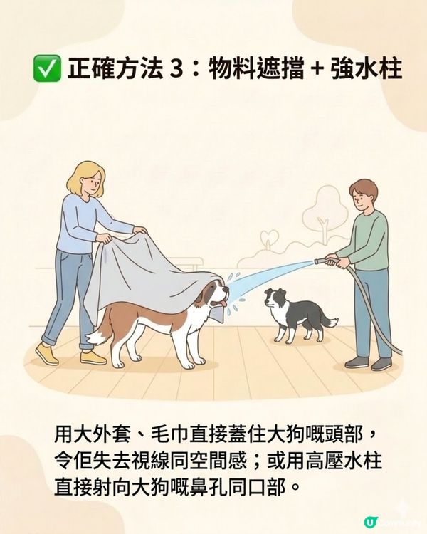 ⚠️全港狗主必Save！大狗咬住唔放點算？打頭、硬拉全錯！教你「3秒強制鬆口」救命法🚨