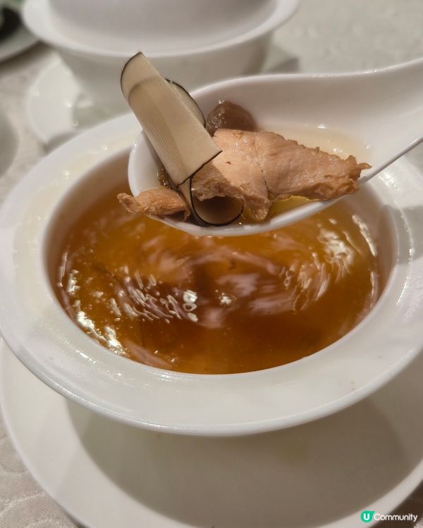 九龍地膽一定要知! 開sem 除咗南山又多個選擇