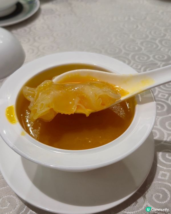 九龍地膽一定要知! 開sem 除咗南山又多個選擇