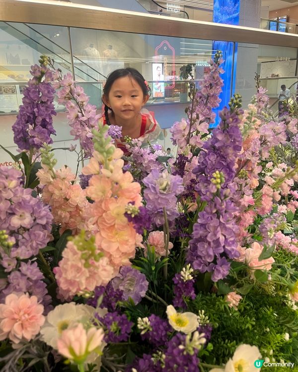 花花世界