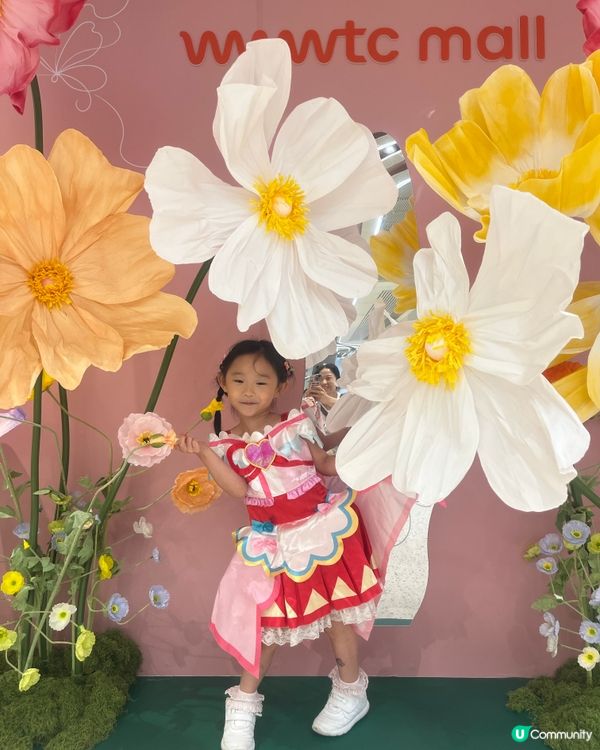花花世界