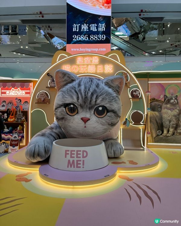 喵玩樂日誌！🐈🍦 銅鑼灣皇室堡暑假登場！
