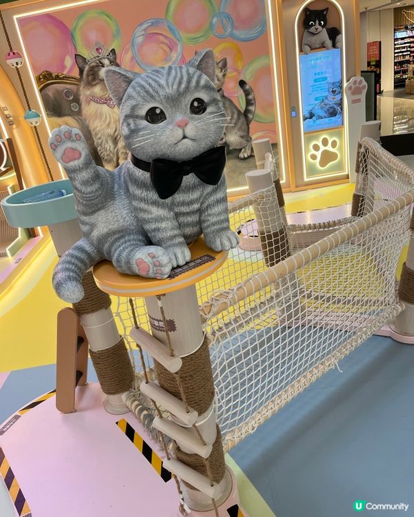 喵玩樂日誌！🐈🍦 銅鑼灣皇室堡暑假登場！