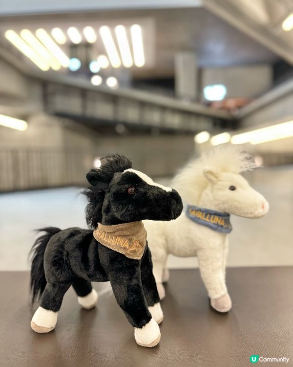 《CAVALLUNA馬術 X 劇場 穿梭異境》🐎