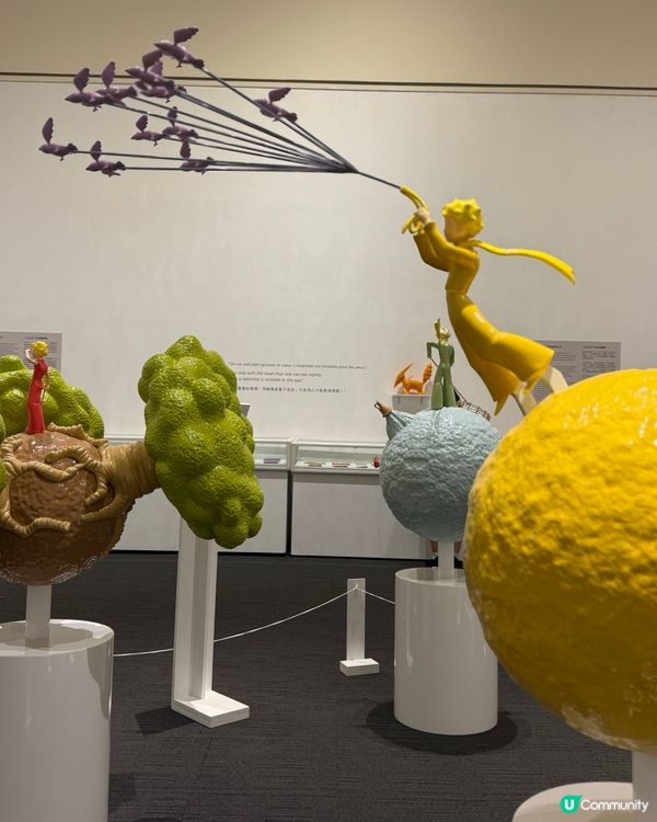港大親子Chill遊 意外解鎖《小王子》展