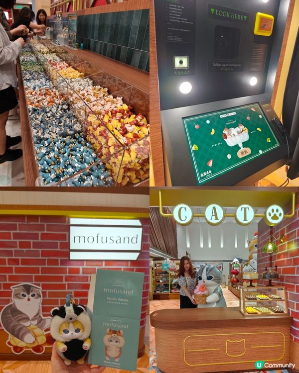 【九龍灣一日遊】爆得意貓貓主題店🐱