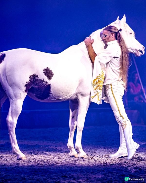《CAVALLUNA馬術 X 劇場 穿梭異境》🐎