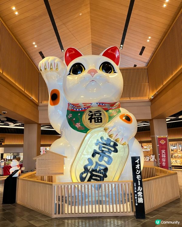 日本買野同時搵京都味! 🥢🛒