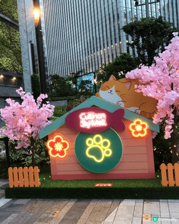 夏日炎炎親子好去處～室內玩樂，位於天爾天地下商店Tarito...