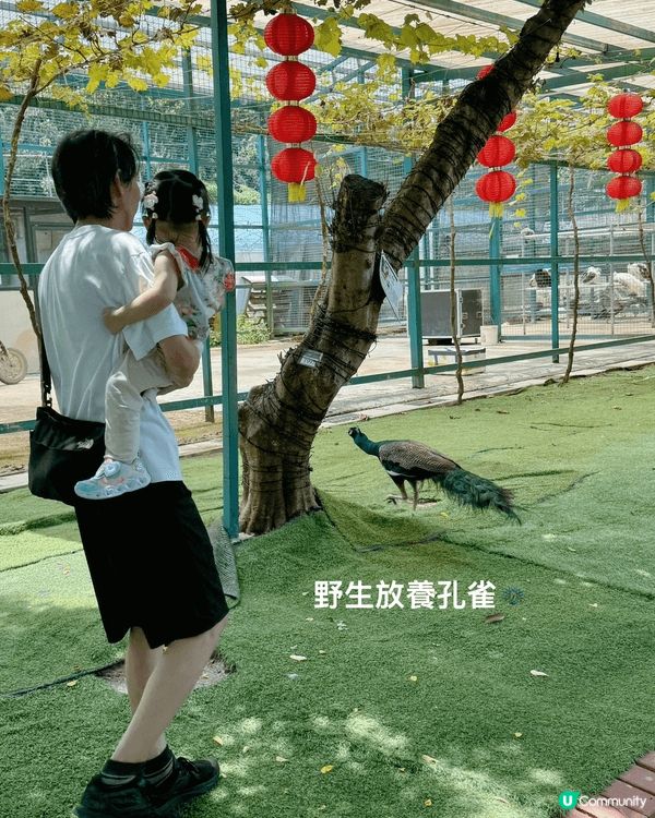 農莊一日遊🥰