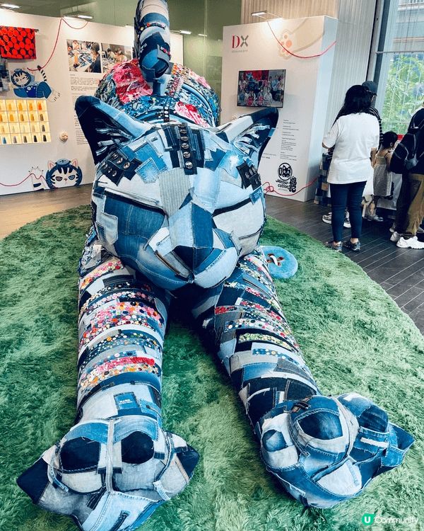 The denim cat photo was taken ...