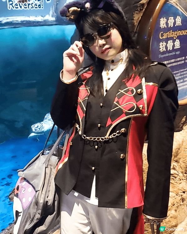 海洋公園與三麗歐合作，有特色的打卡點，又能觀賞海洋生物，學習...