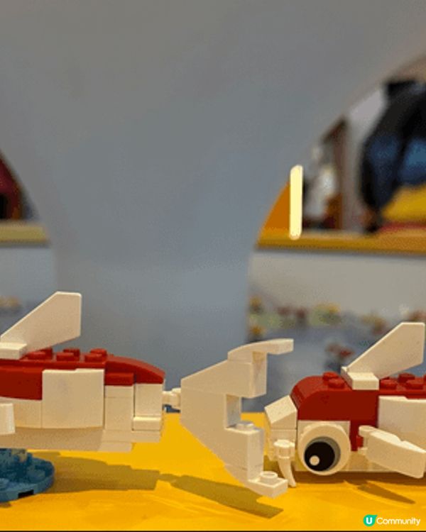 玩下Lego拼砌魚仔，再去公園吹下波波，開開心心地玩一會兒，...