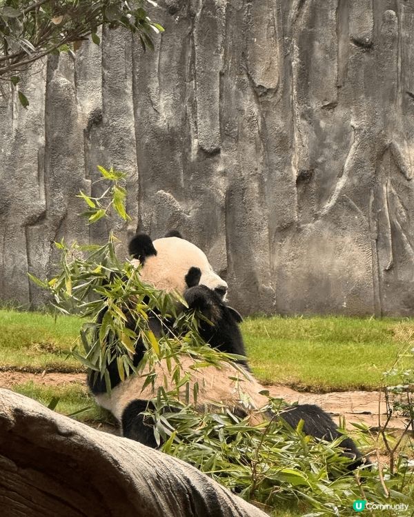 我推薦的地方有兩個，第一是海洋公園，因為在海洋公園有包括海，...