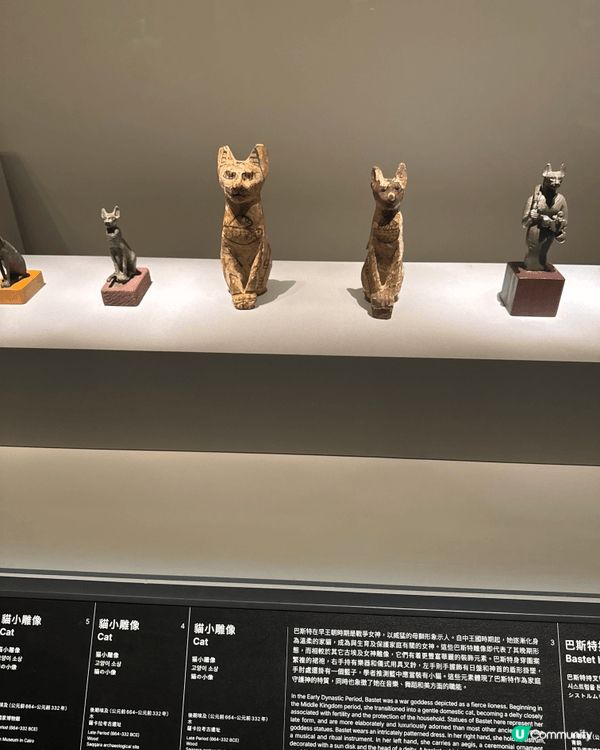 親子活動除左去純粹玩樂，我都會帶小朋友去下博物館學習唔同知識...