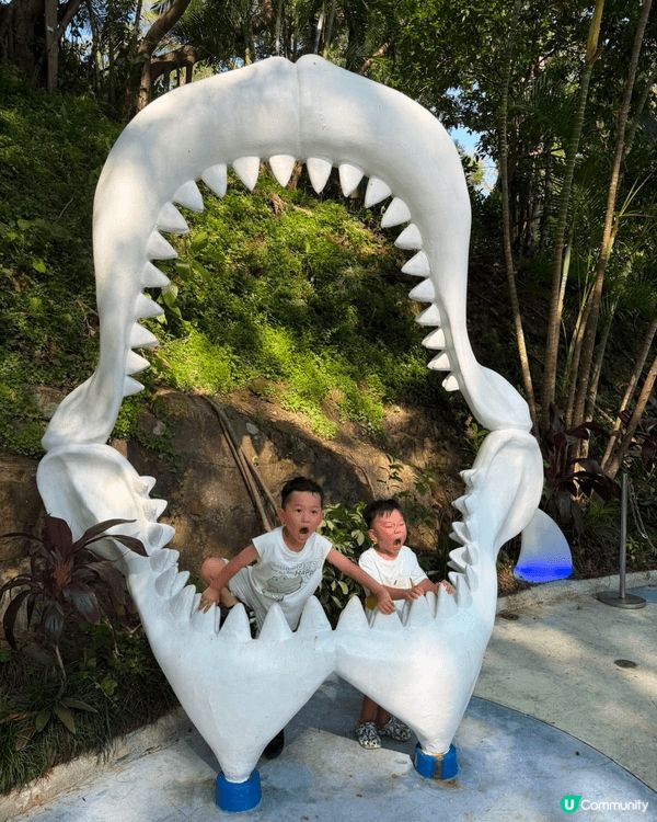 Ocean park睇企鵝，鯊魚，熊貓都十分吸引😍雖然夏天比...