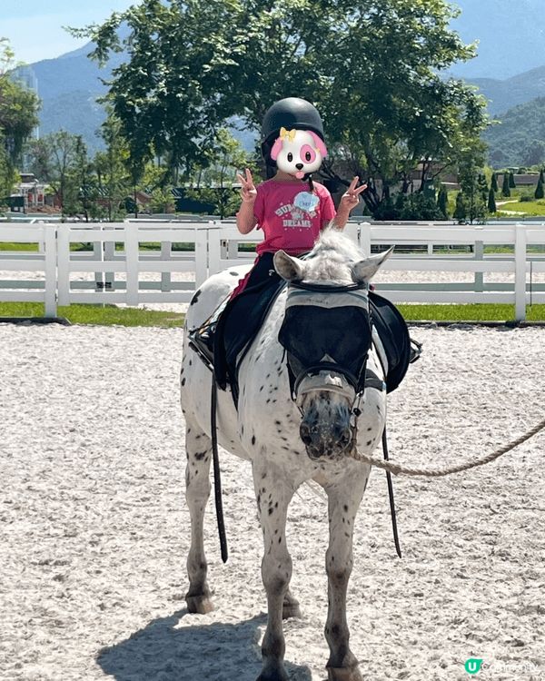 位於沙田彭福公園既小馬大本營已經開始接受預約，小朋友可以騎馬...