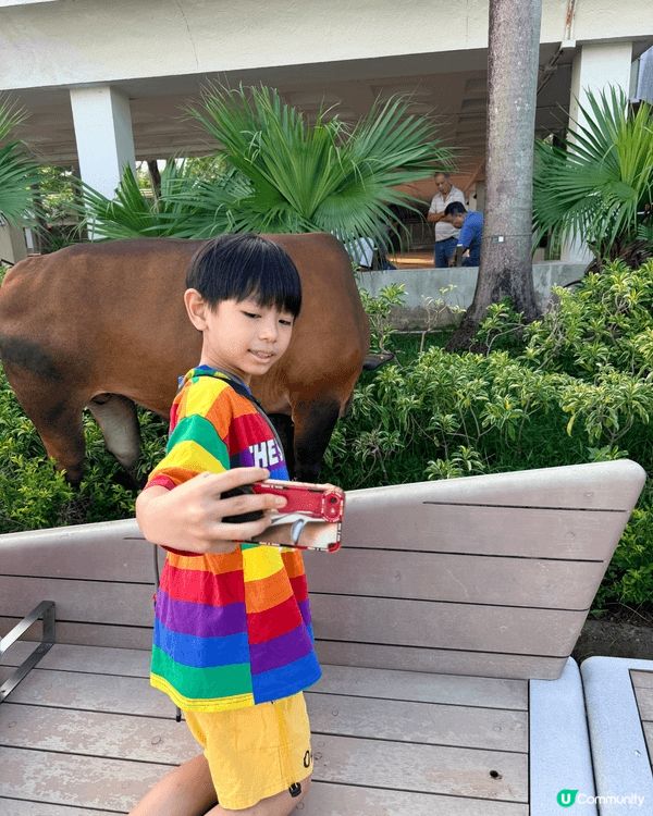 西貢被譽為香港後花園，坐擁山海相擁的原生態自然風貌，是香港聯...