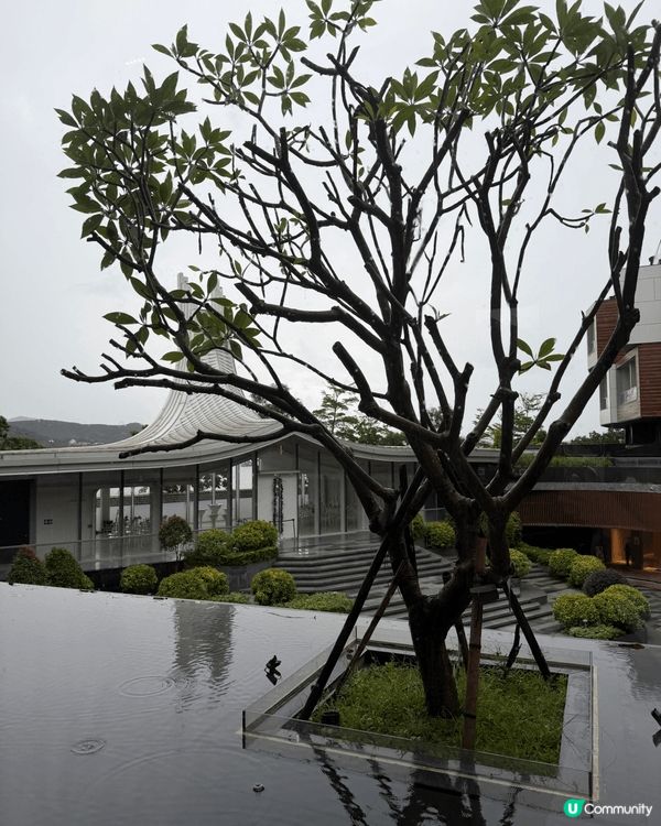 西貢隱世低密度度假酒店，滿眼綠植與療癒花香，最適合親子遊，遠...