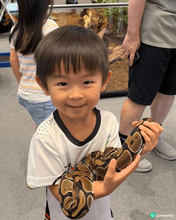 1. 灣仔合和中心的異寵展覽，免費參觀不同既兩棲類動物，可以...