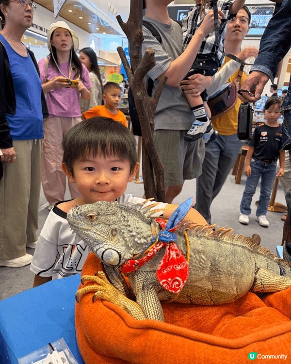 1. 灣仔合和中心的異寵展覽，免費參觀不同既兩棲類動物，可以...