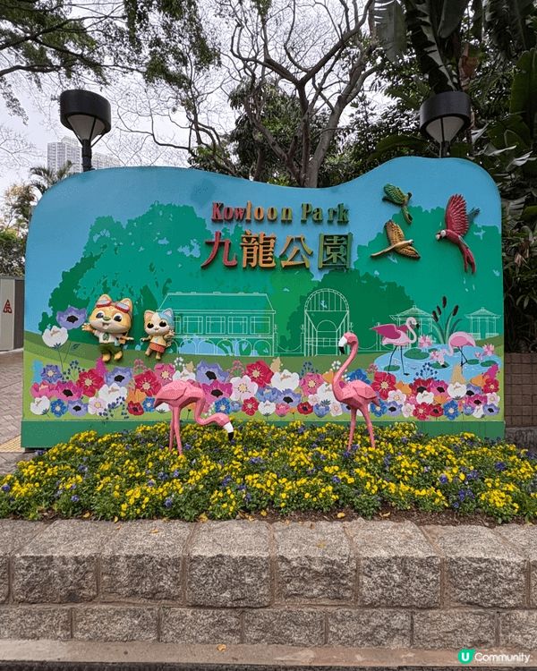 我推介九龍公園