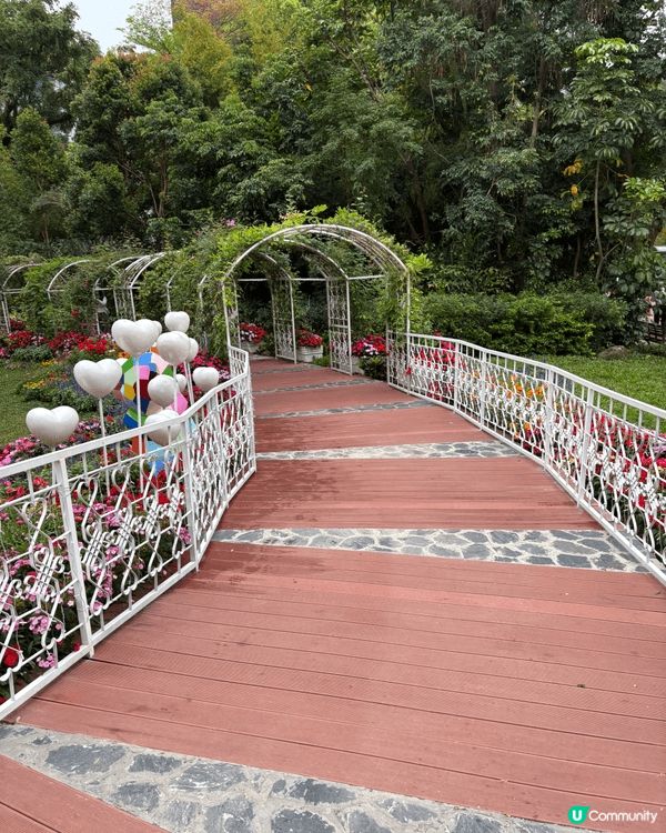 我推介九龍公園