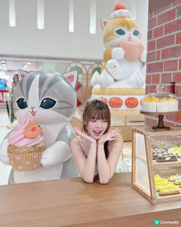貓奴必到！德福喫茶店萌爆！🐱🍰