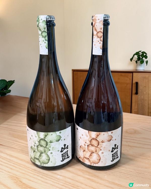 發現寶藏飲品！靜岡百年老字號嘅高級氣泡茶，健康解膩首選 🥳