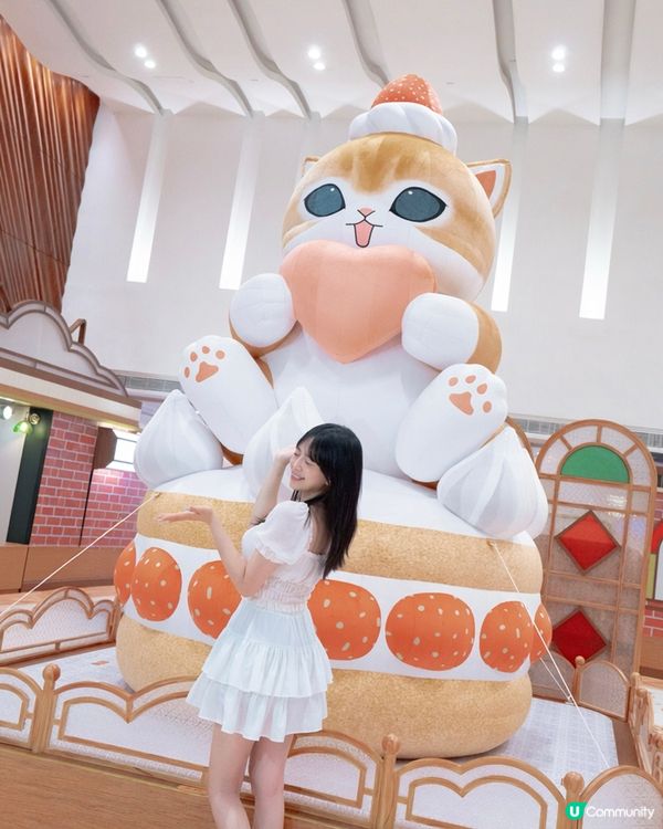 德福廣場超萌貓咪喫茶店！🐱🍰💖