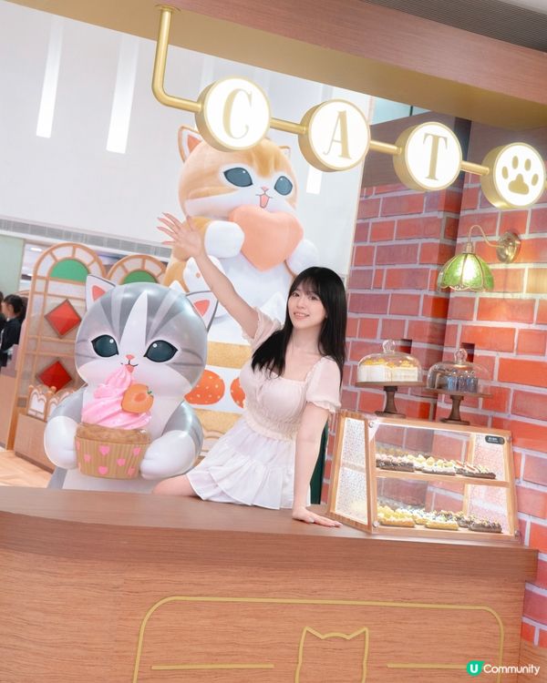 德福廣場超萌貓咪喫茶店！🐱🍰💖