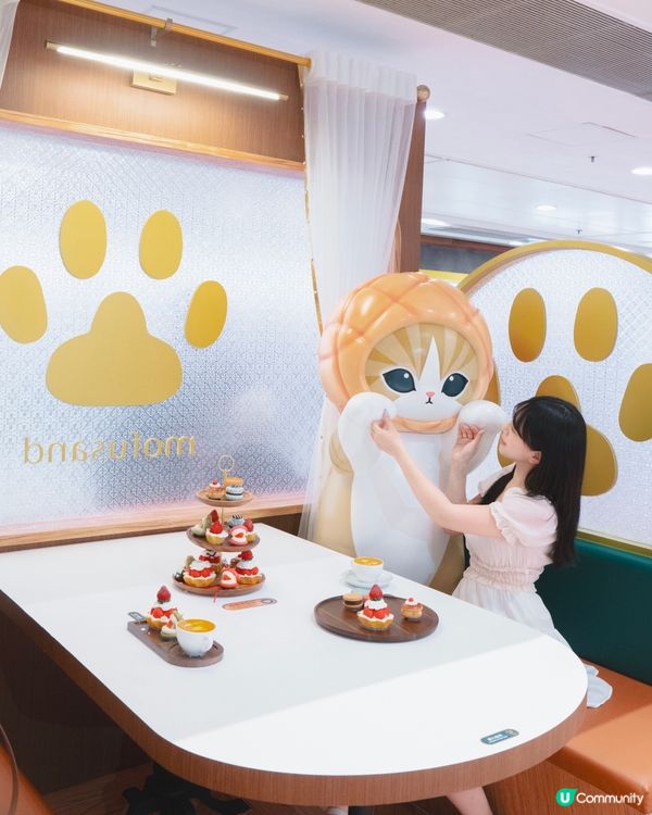 德福廣場超萌貓咪喫茶店！🐱🍰💖