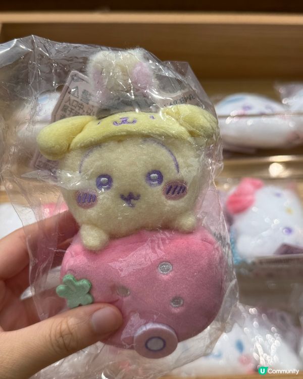 Miniso X Chiikawa聯名公仔❤️‍🔥必買攻略⁉️