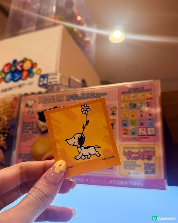 🇯🇵 日本藏壽司 × PEANUTS｜史努比期間限定🍣